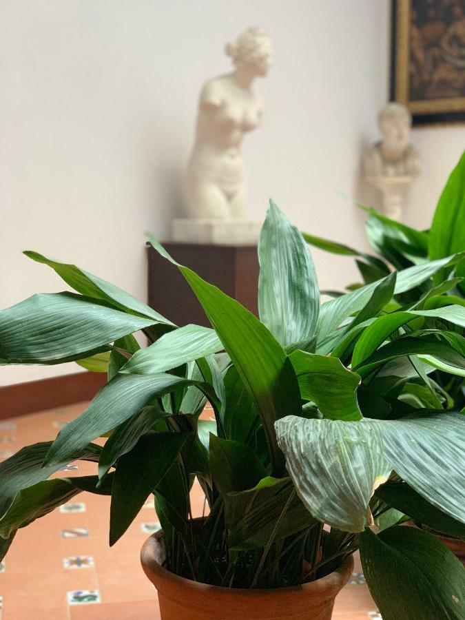 Angeles House Apartment Seville Ngoại thất bức ảnh